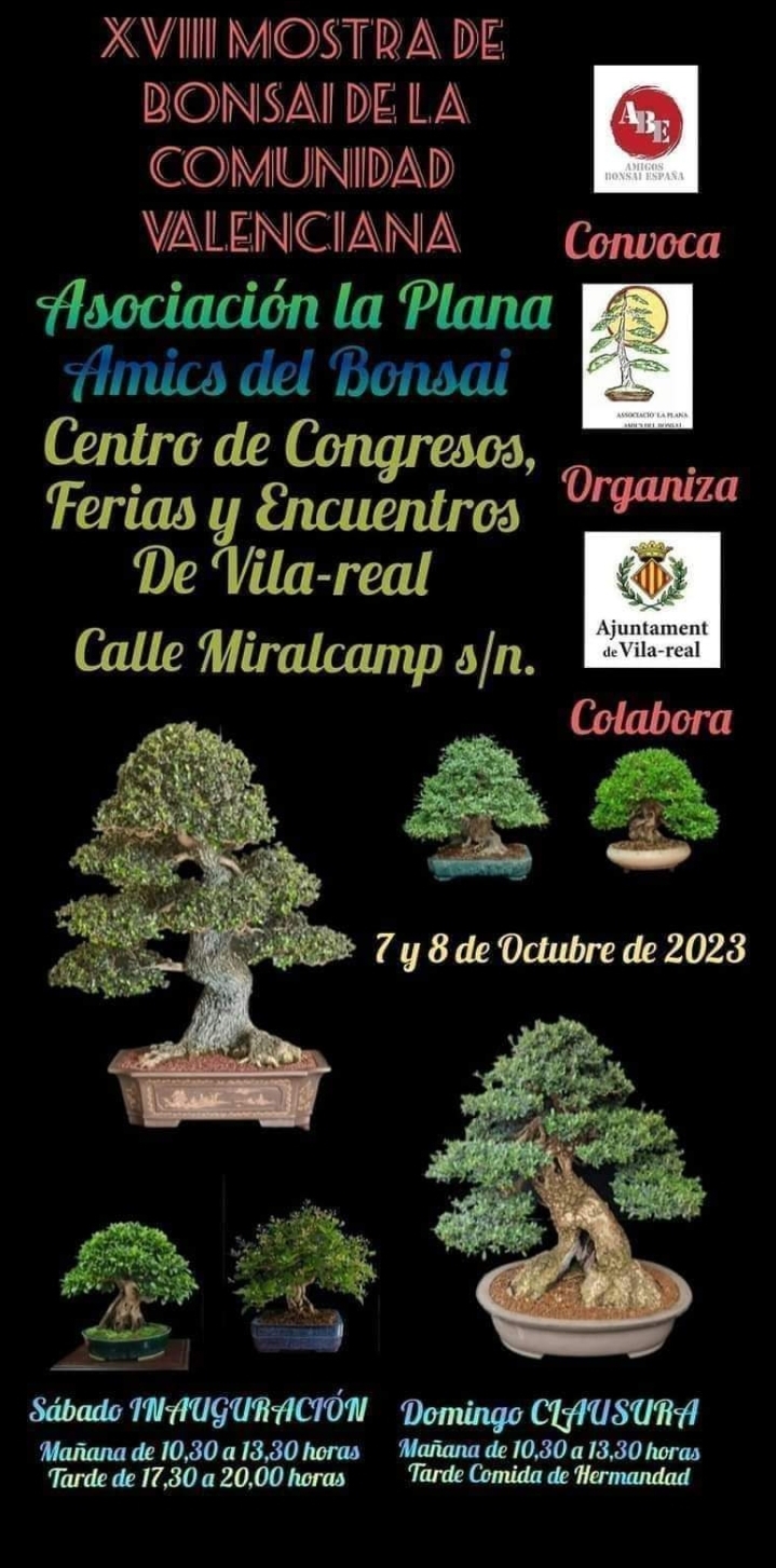 Mostra de bonsais de la comunidad Valenciano 