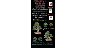 Mostra de bonsais de la comunidad Valenciano 